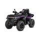 SWM Trailhunter Touring 720 Pro Dust Purple DK SWM-TH720-TPRO фото 1
